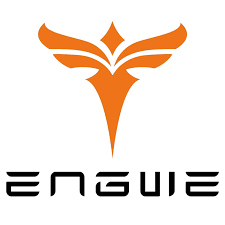 Engwe Bikes Review